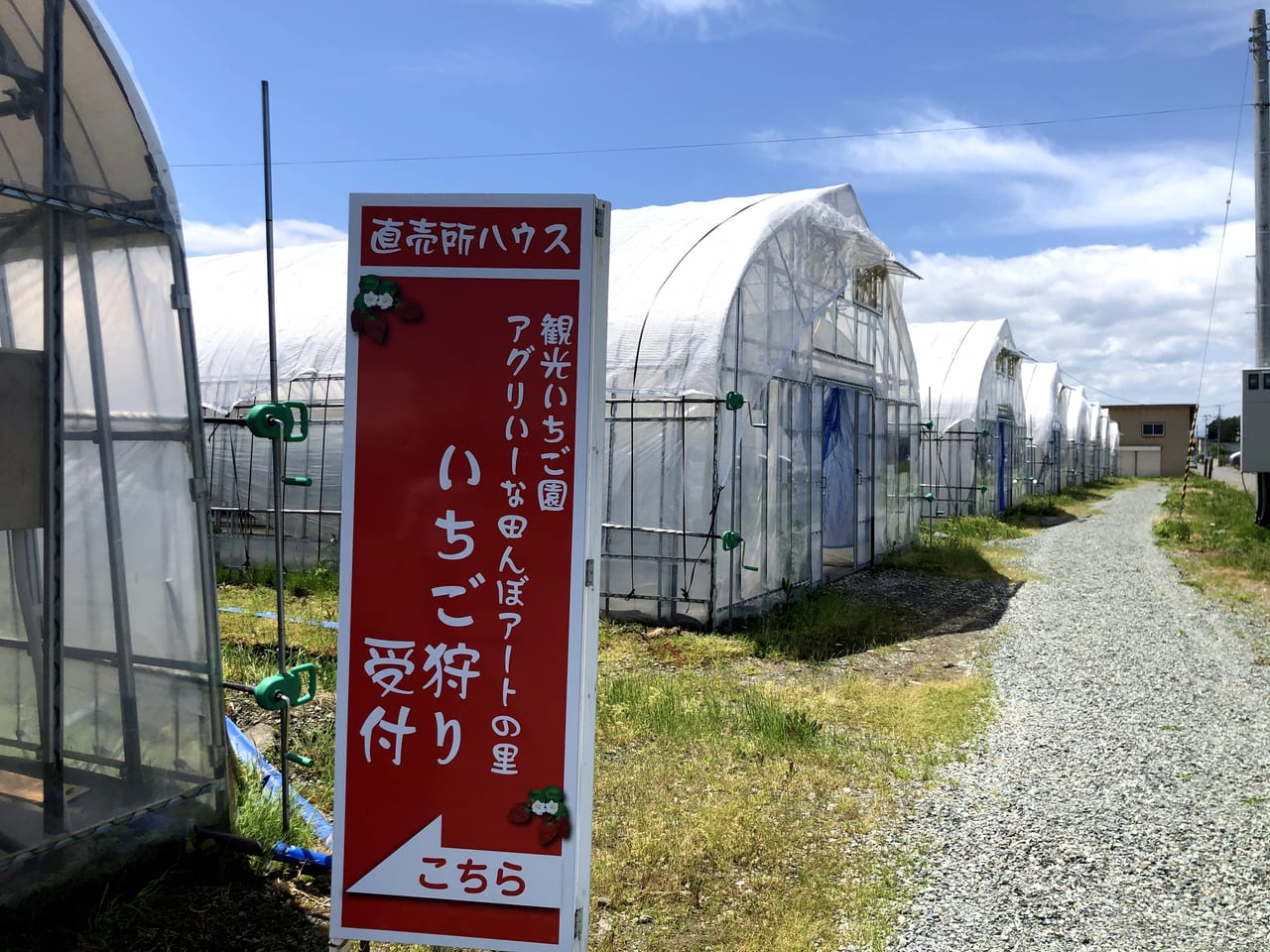 弘前 いちご 狩り