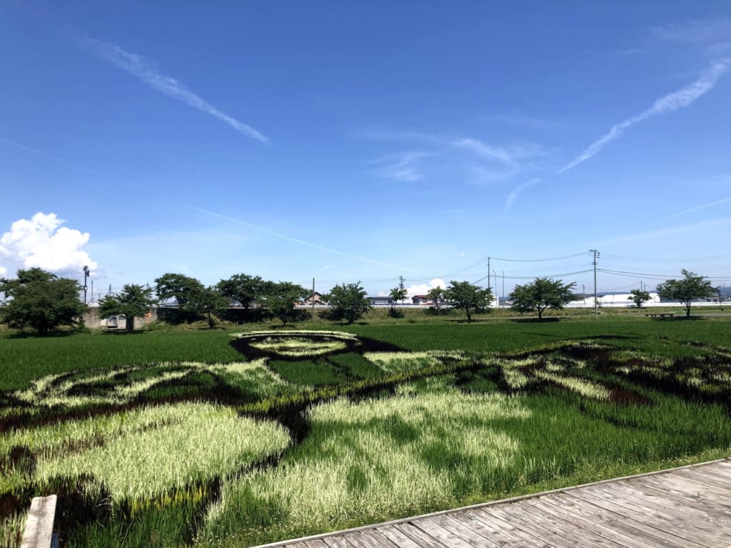 田んぼアート１