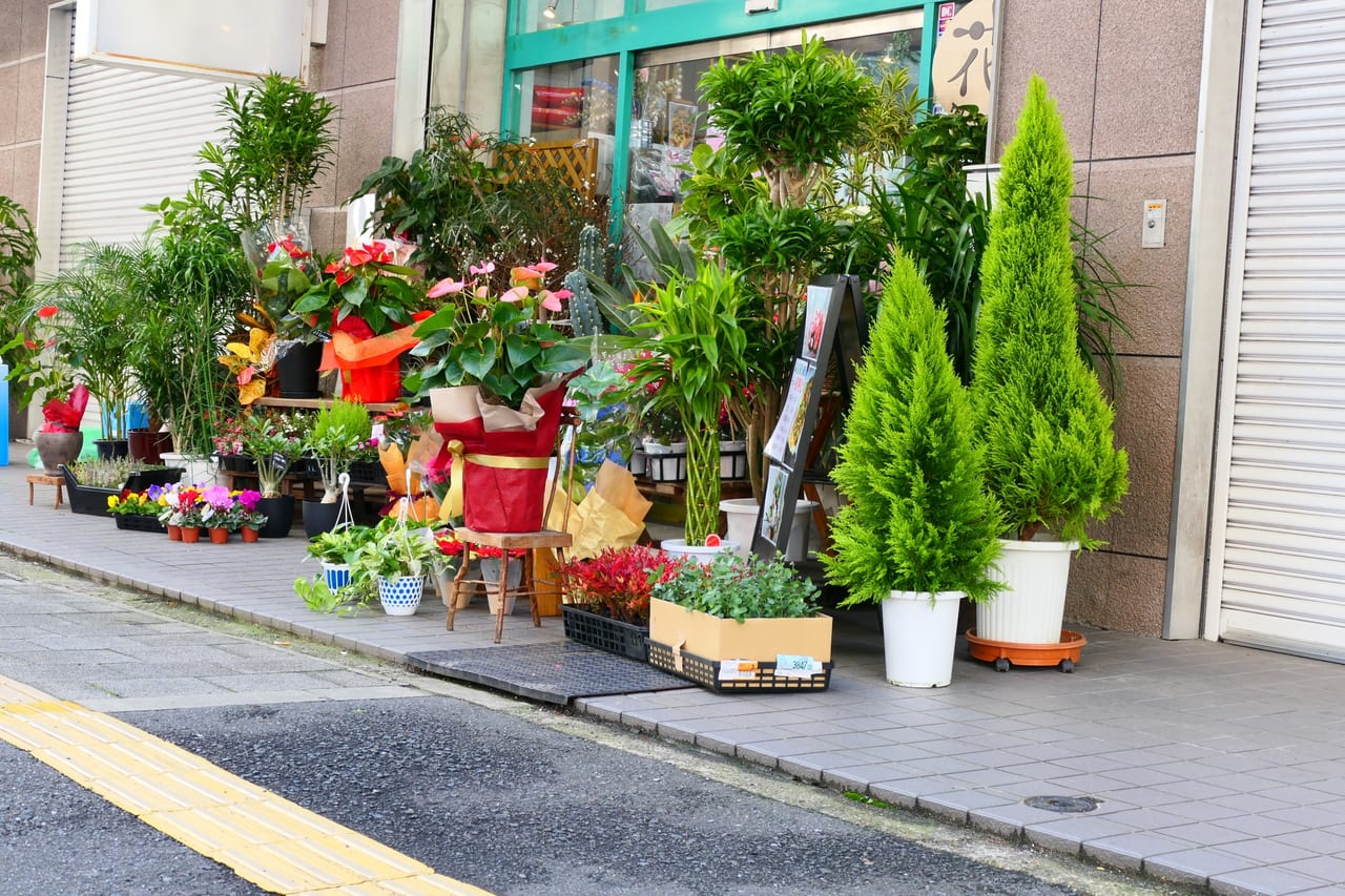 flowershop