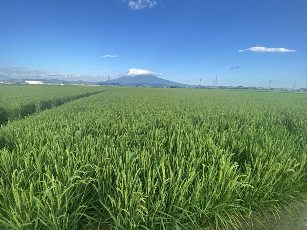 aki