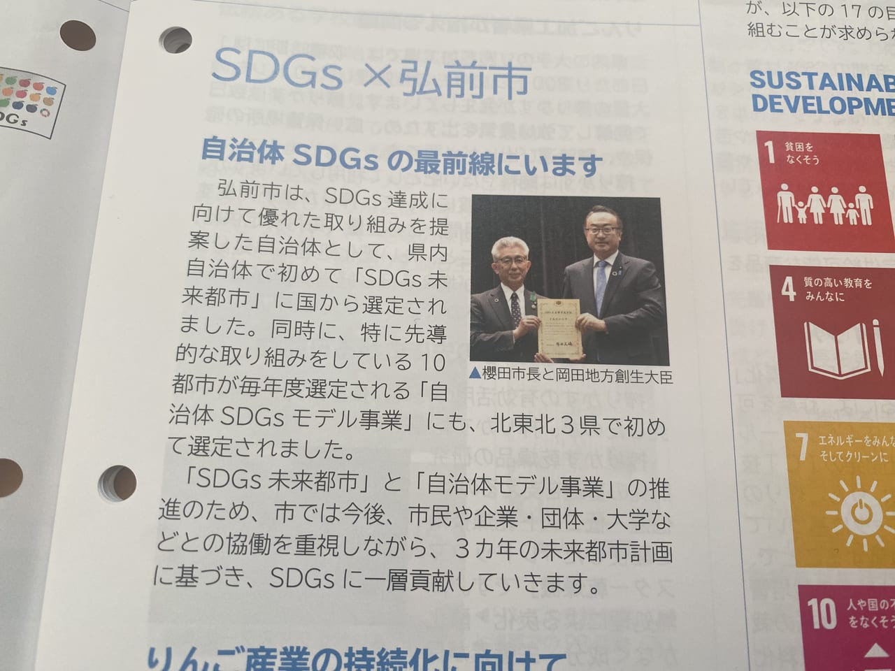 SDGs