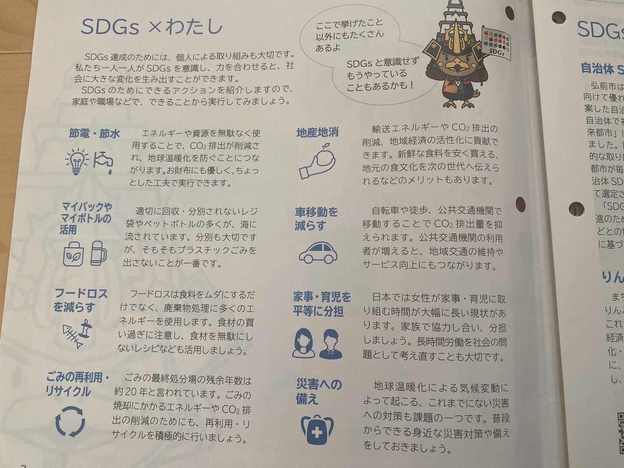 SDGs