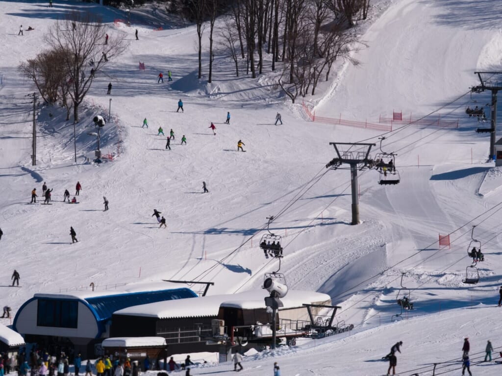 ski