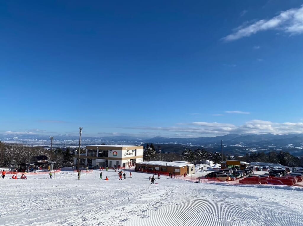 ski