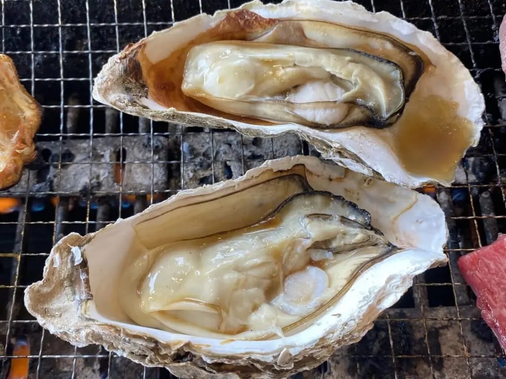 oyster