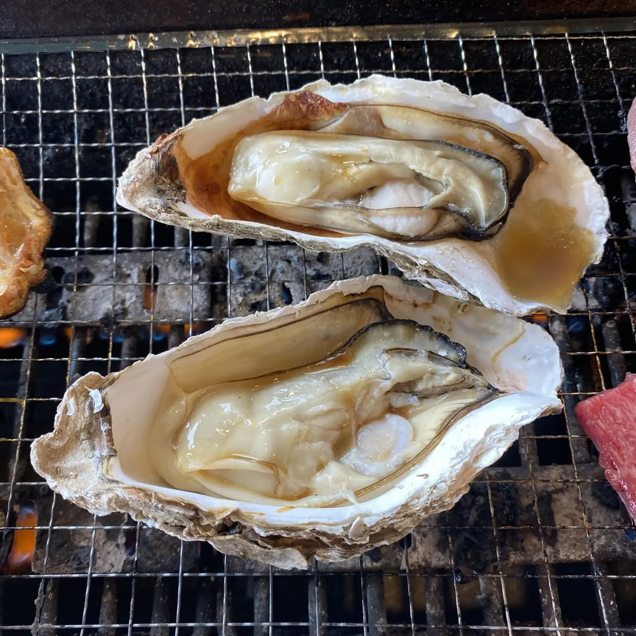 oyster