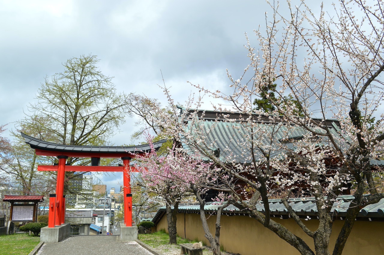 八坂神社