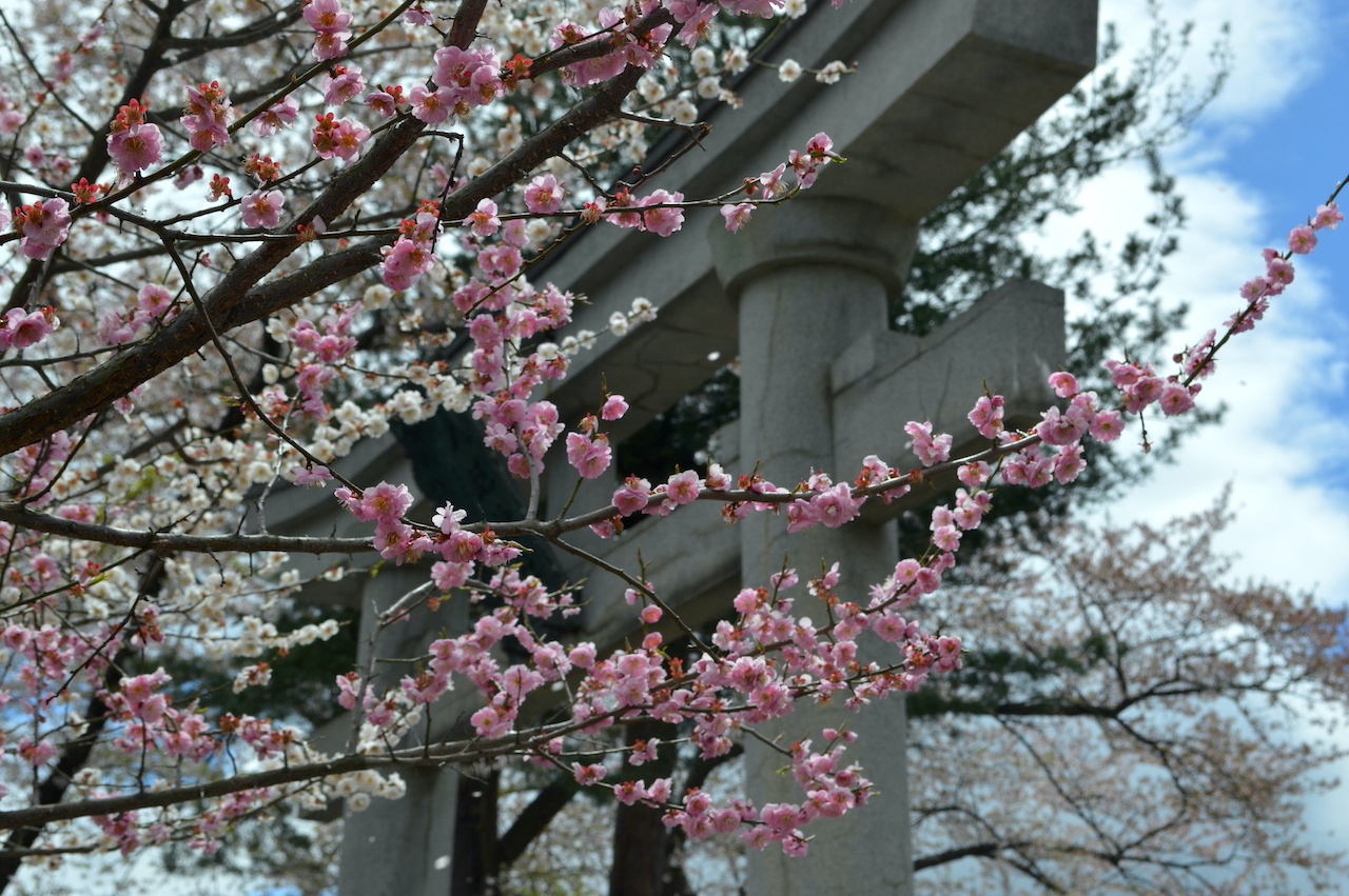 最勝院