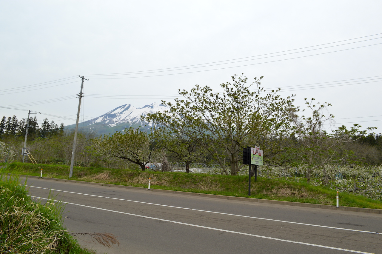 りんご園