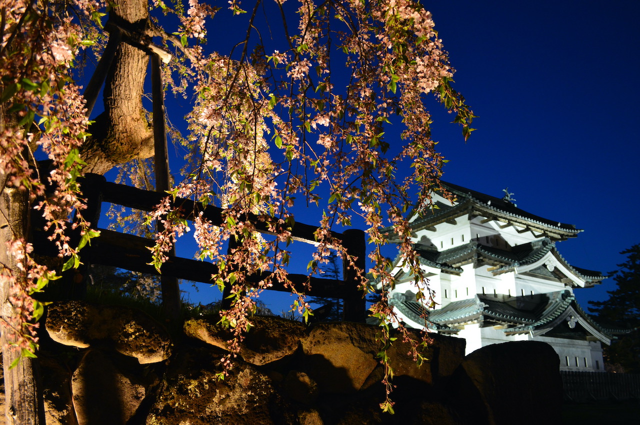 夜桜