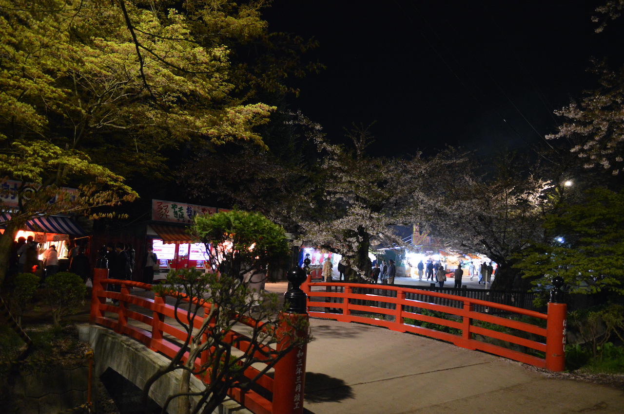 夜桜