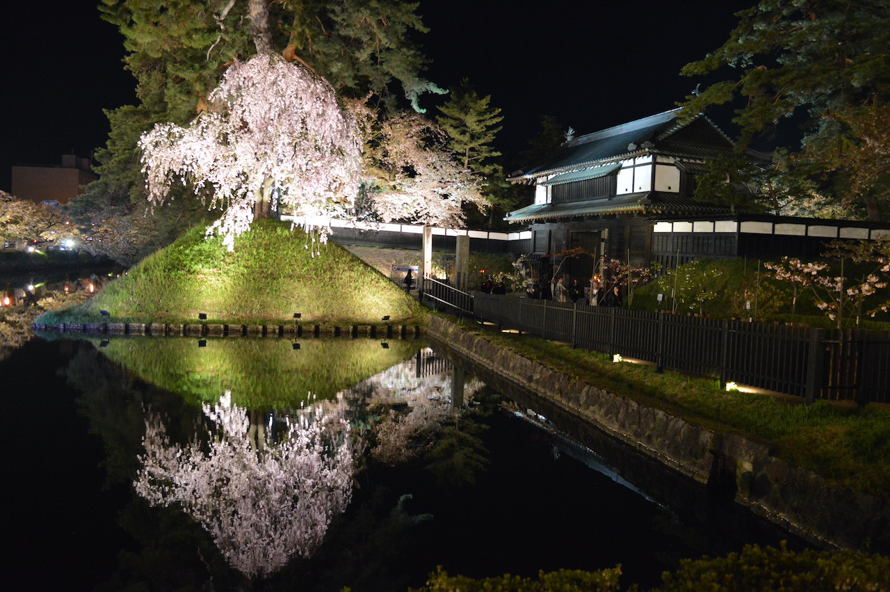 夜桜
