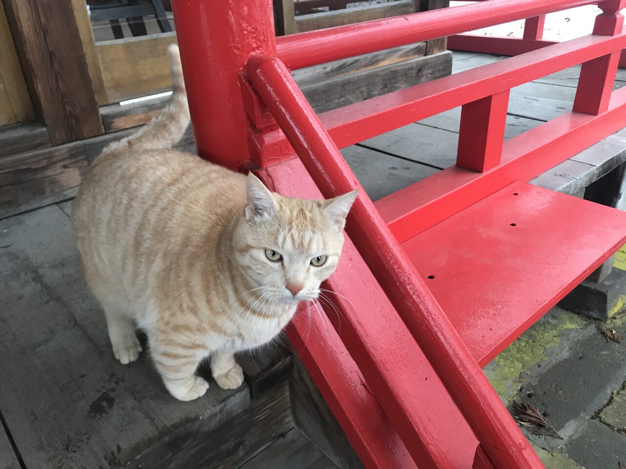 八坂神社