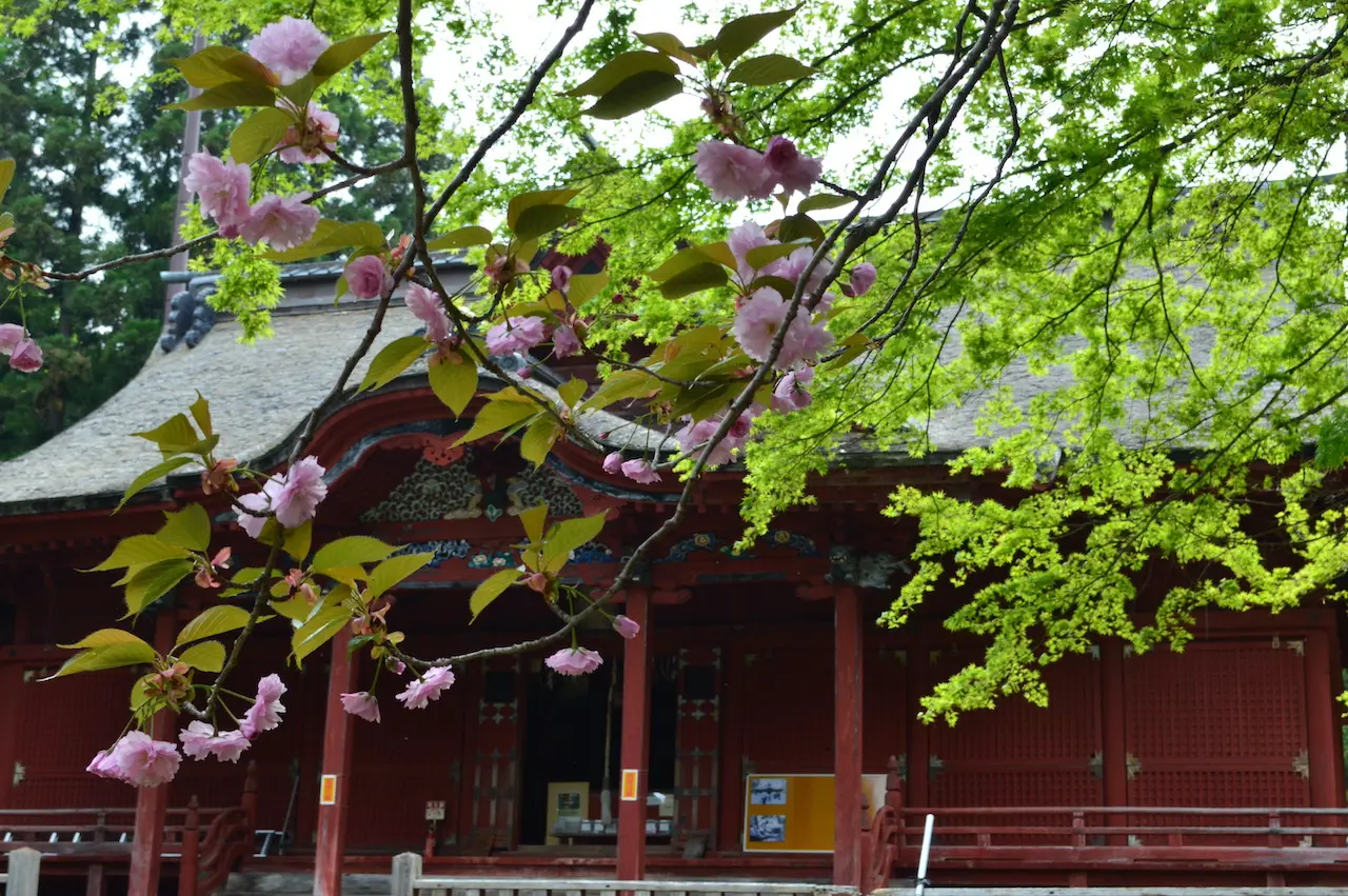 桜と高照神社