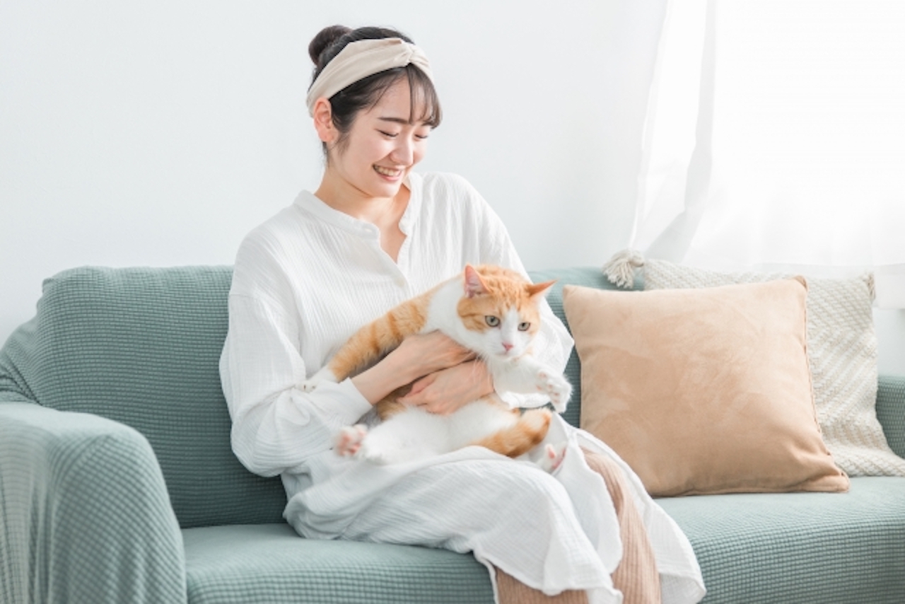 猫譲渡会