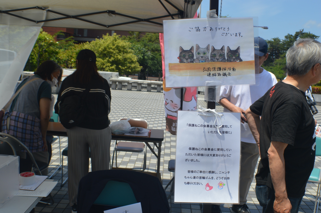 保護猫の譲渡会