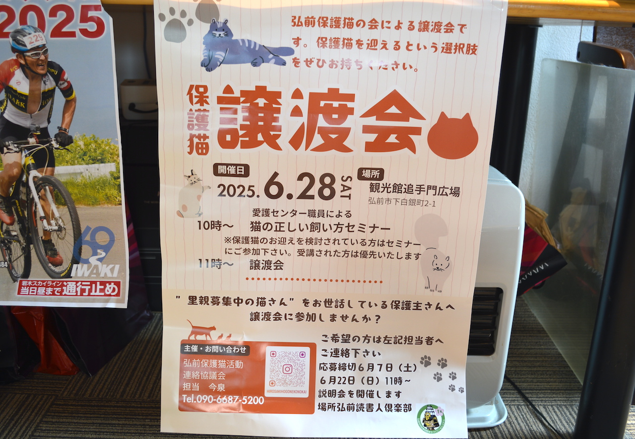 猫譲渡会