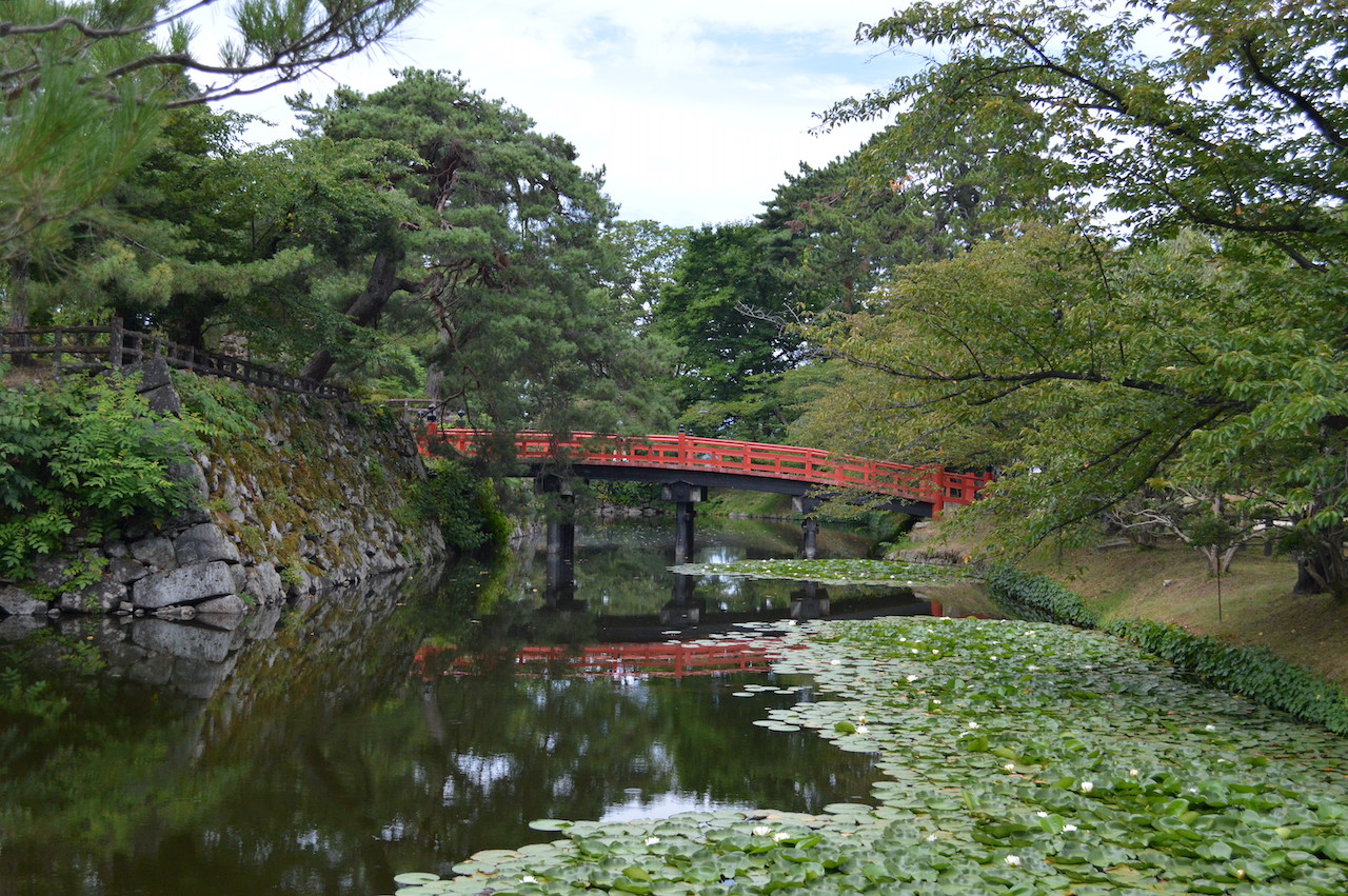 弘前公園蓮