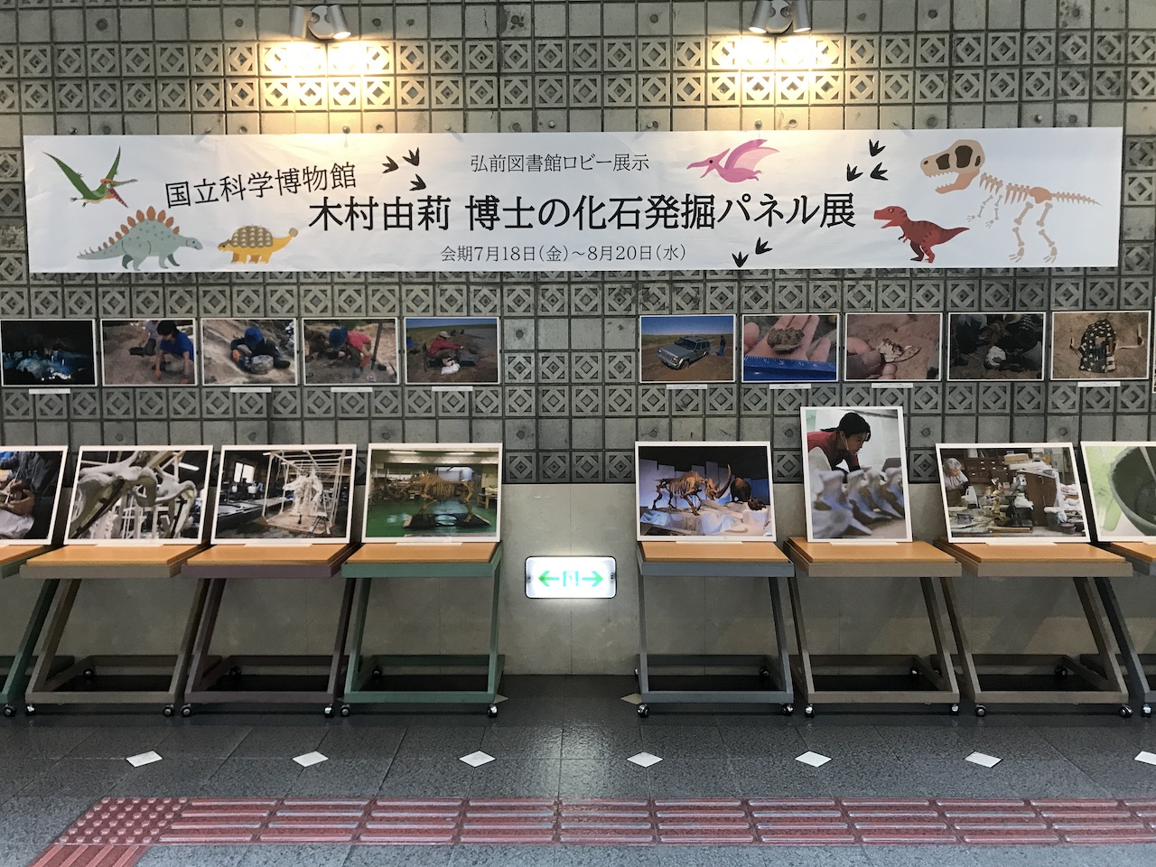 化石ハンター展
