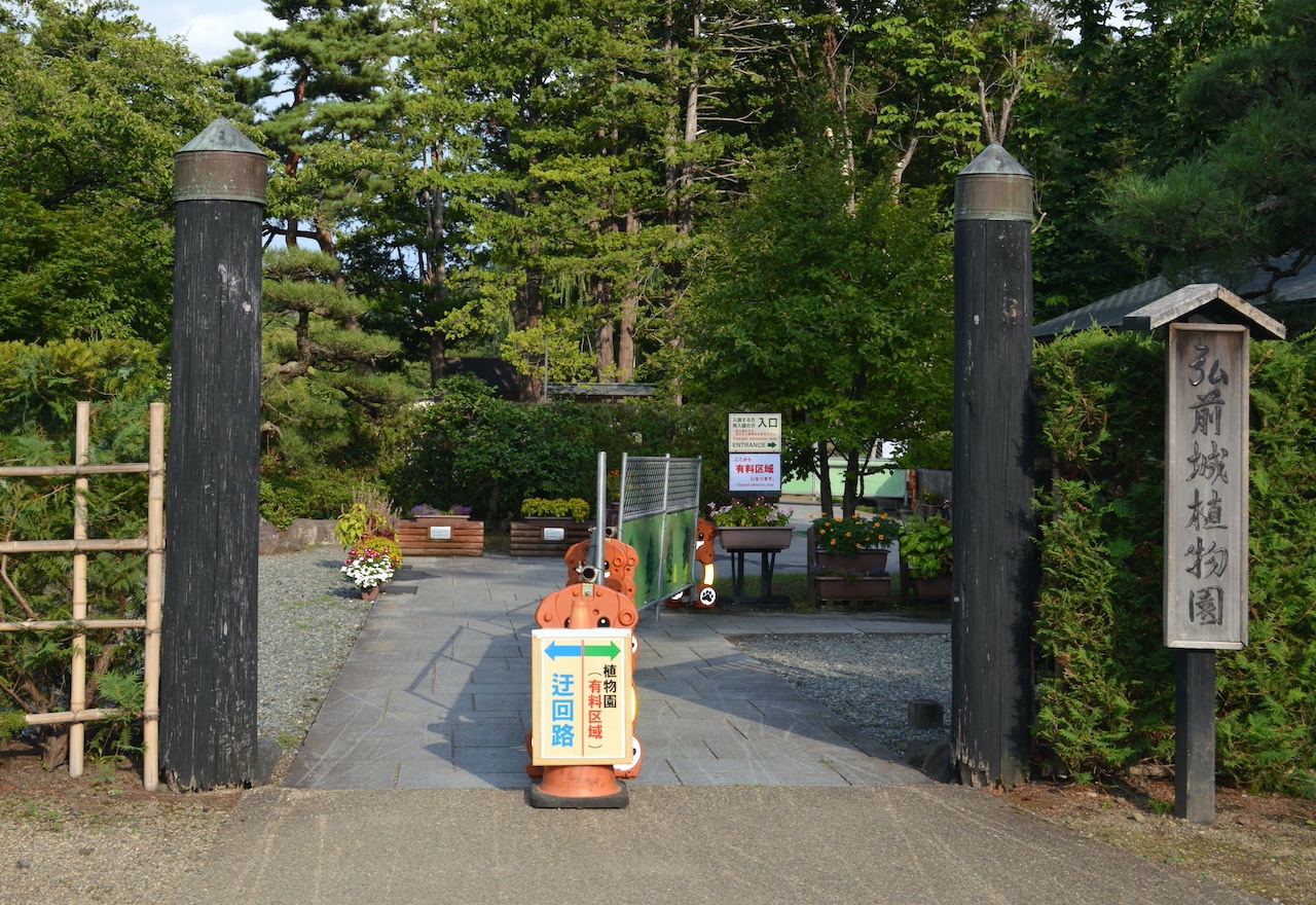 杉の大橋木部更新工事