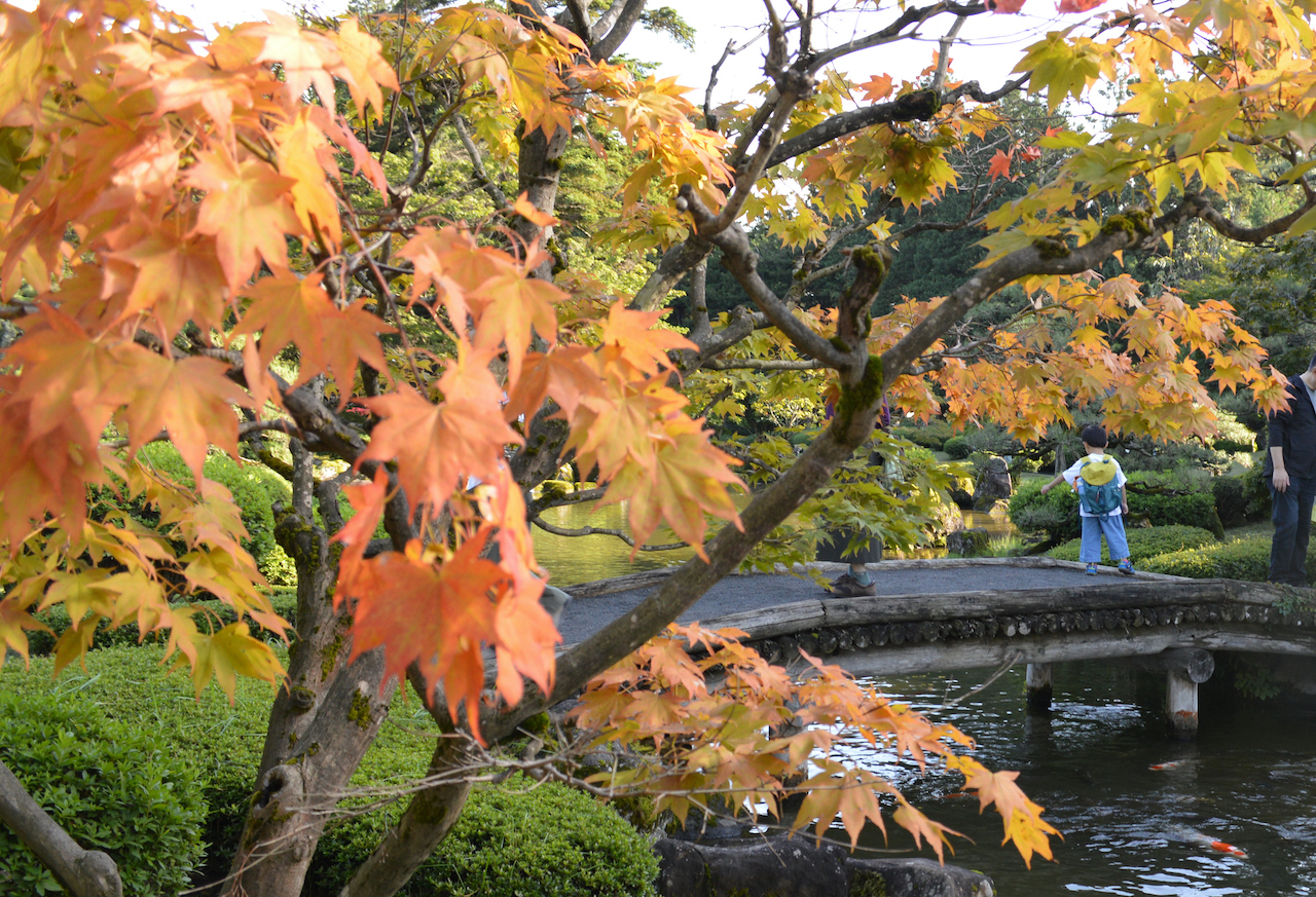 紅葉と秋