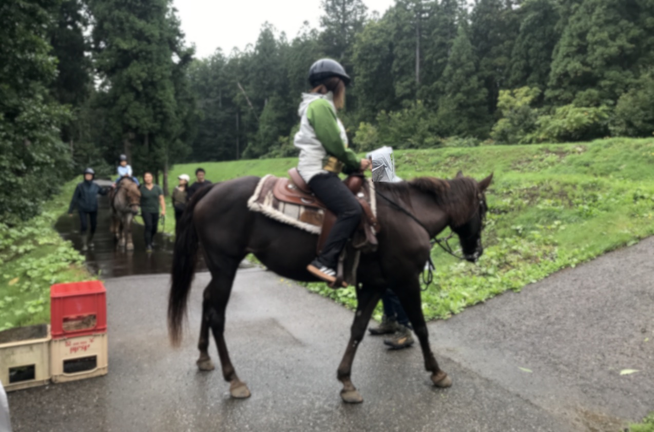 ネオ宵宮