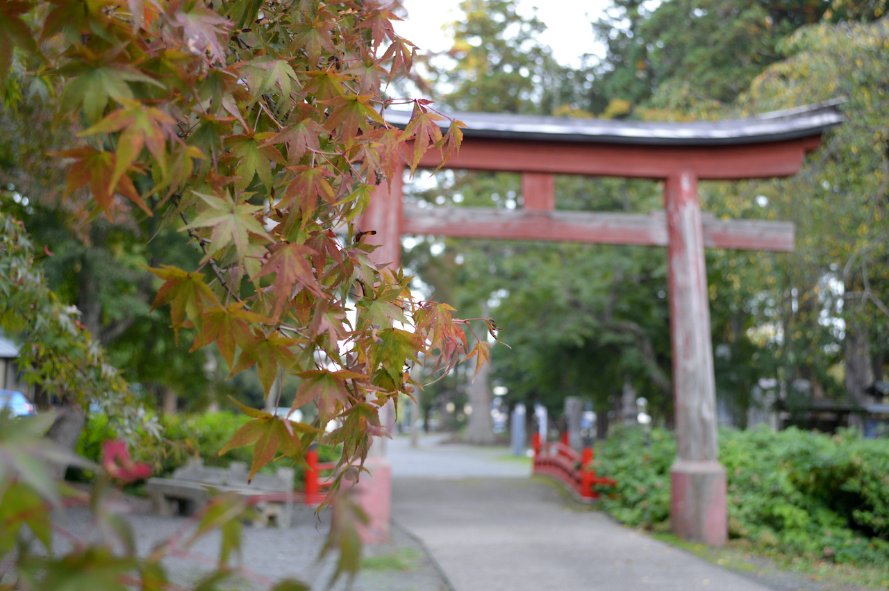 高照神社奉納画