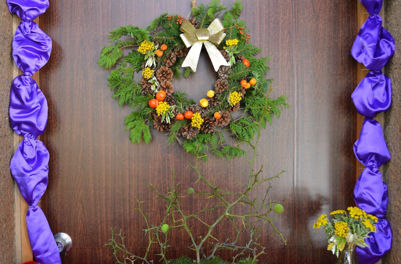 冬の室内植物展