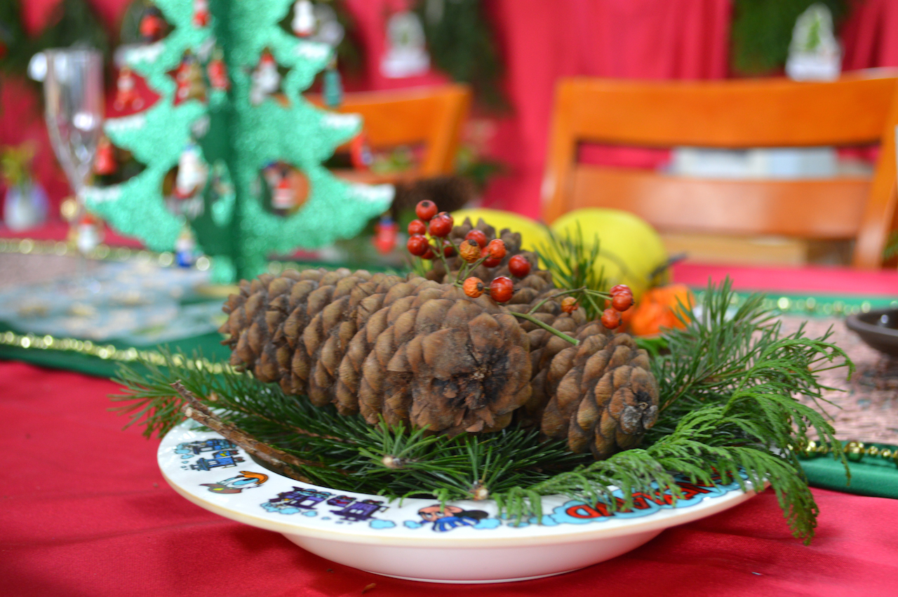 冬の室内植物展