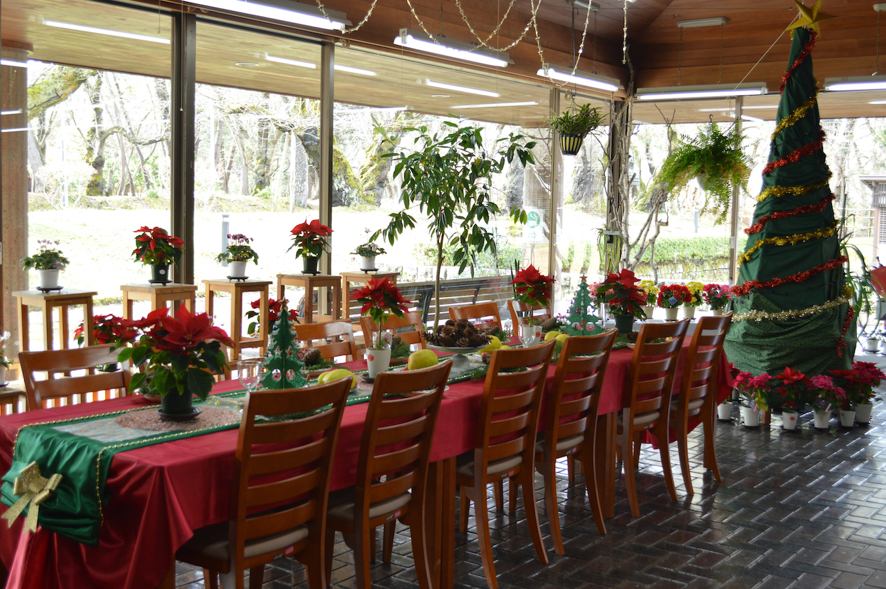 冬の室内植物展