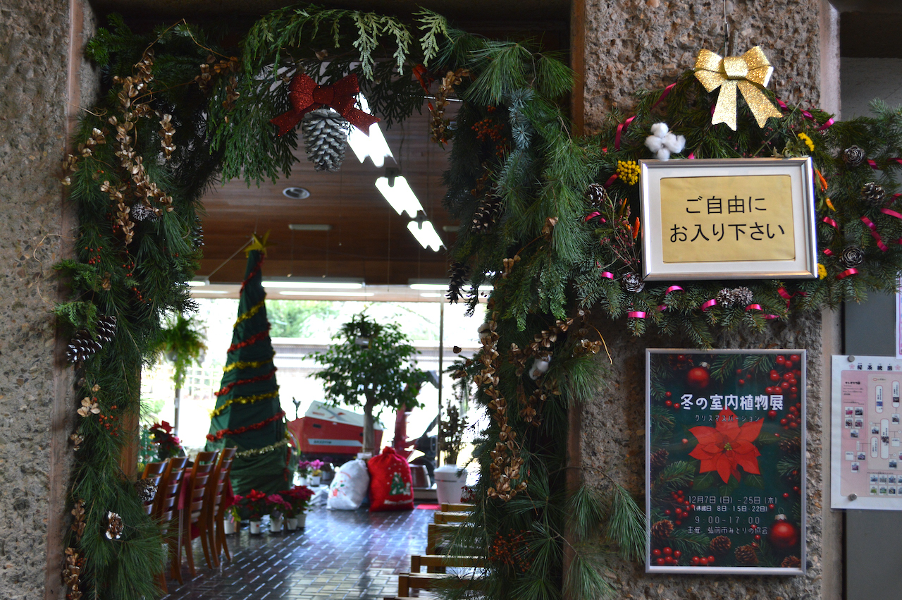 冬の室内植物展