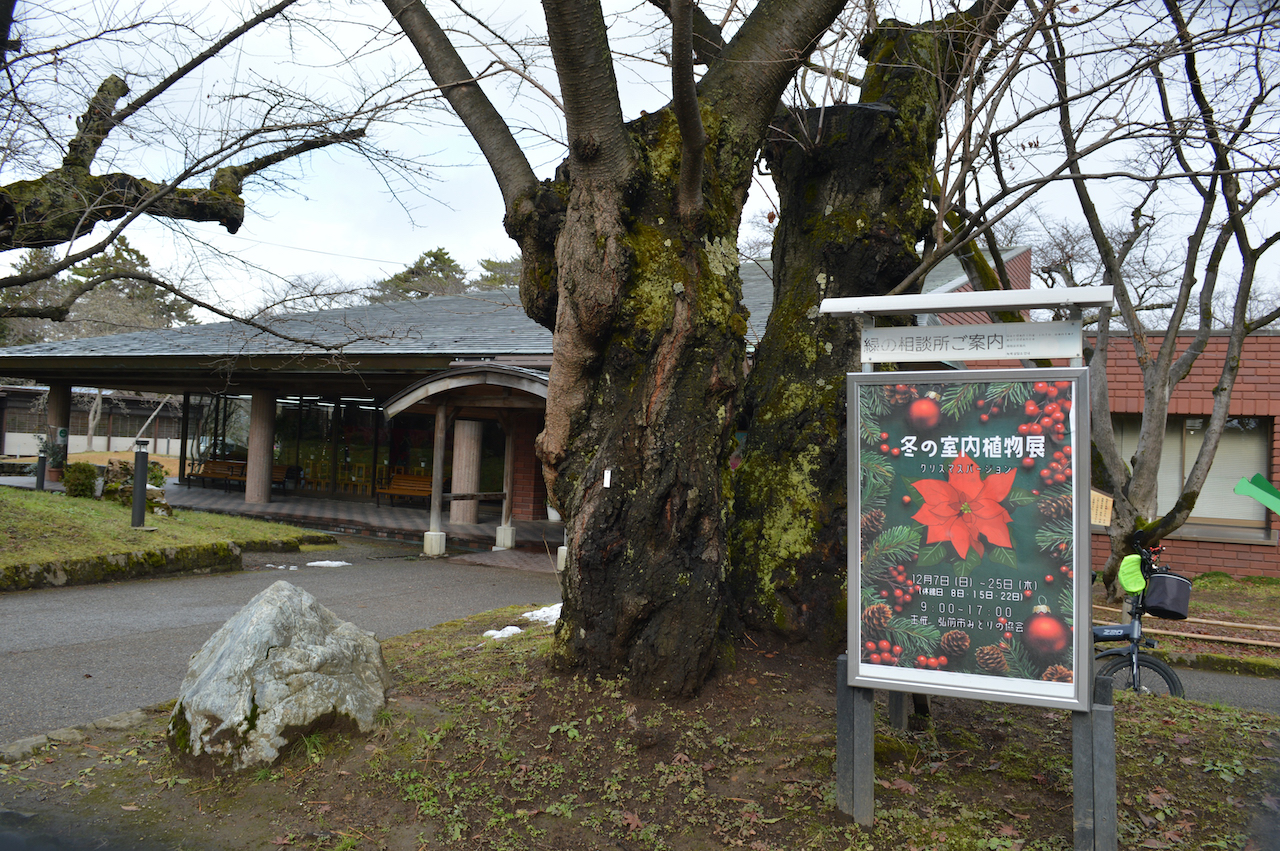 冬の室内植物展