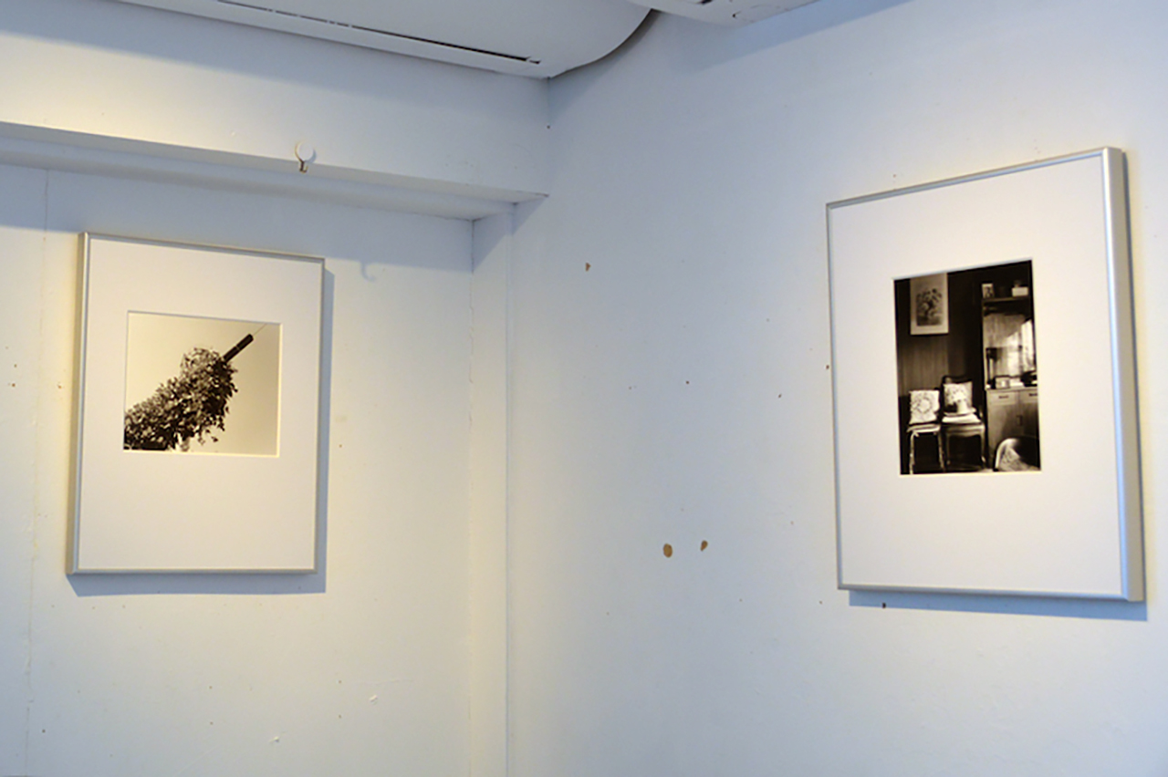 さるべりと松展