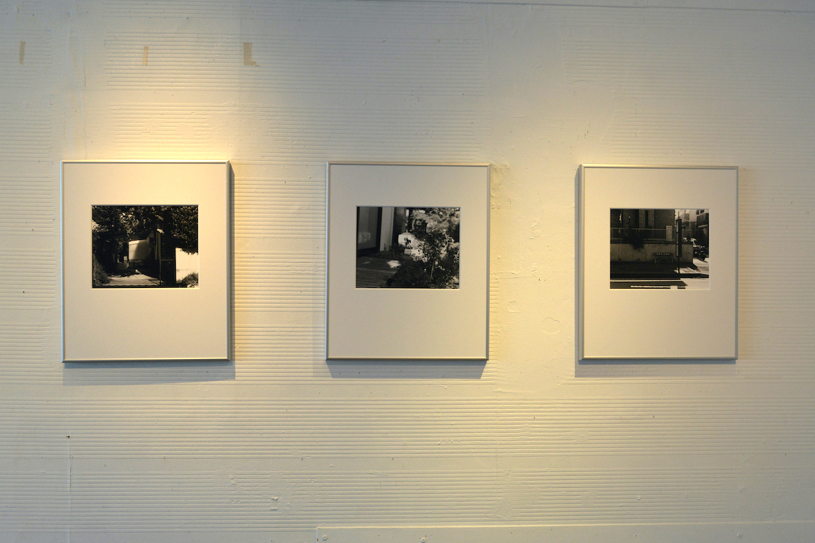 さるべりと松展