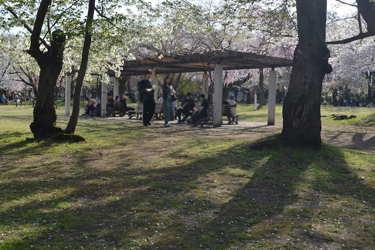 ピクニック広場