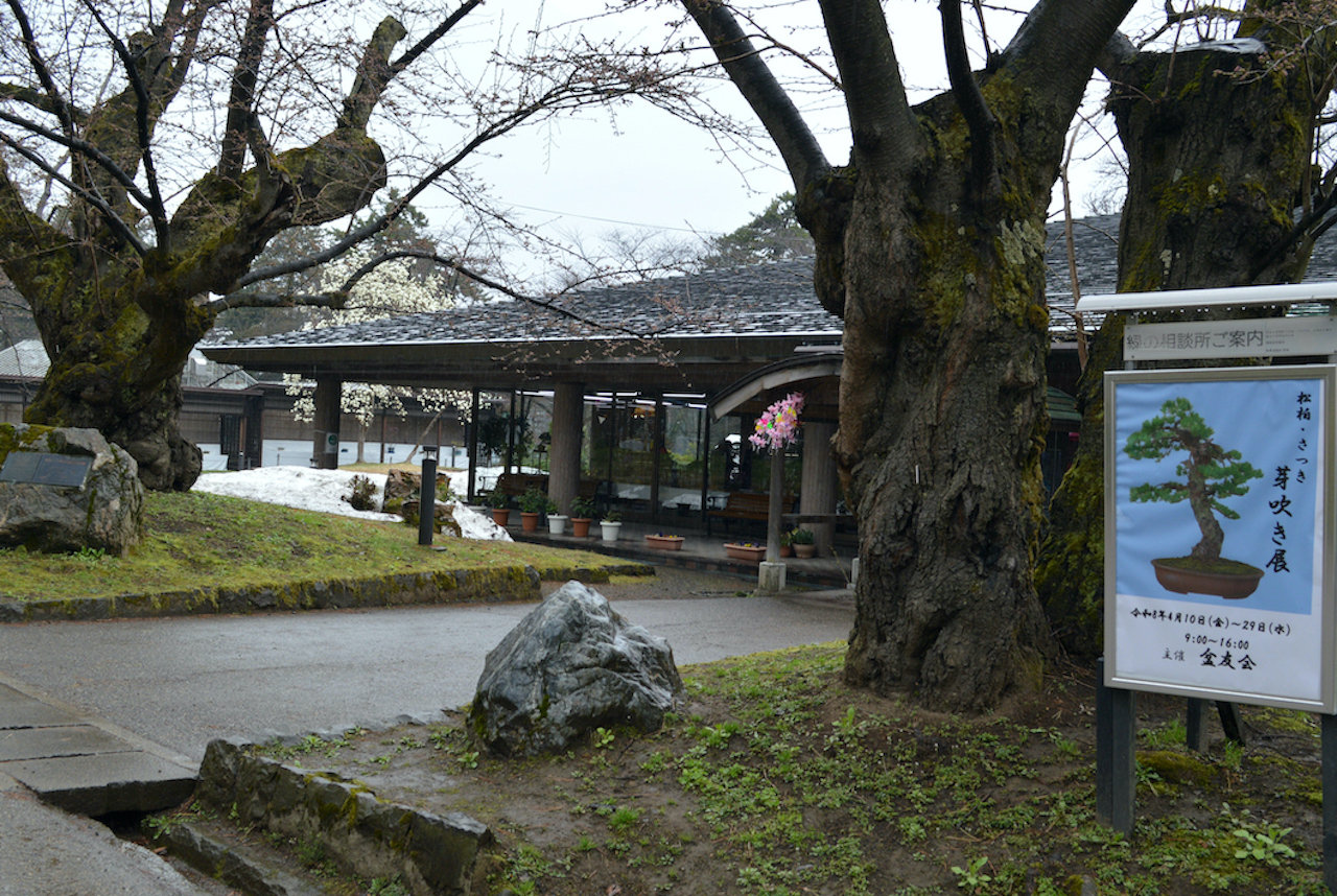 盆友会 春の盆栽展