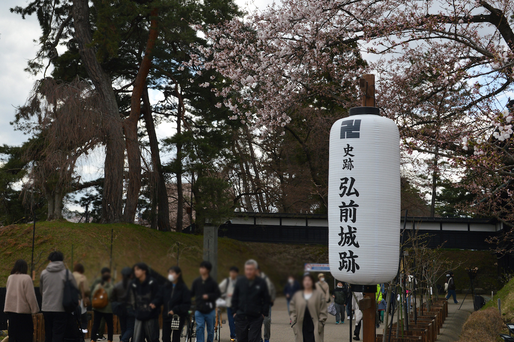 さくらまつり2026