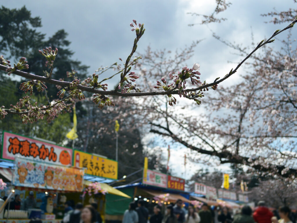 さくらまつり2026