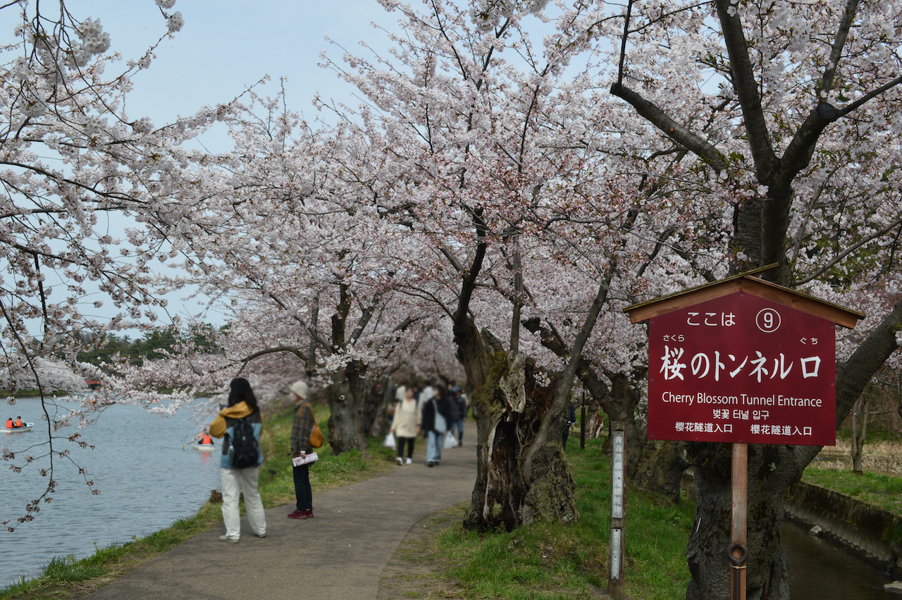 弘前さくらまつり2026