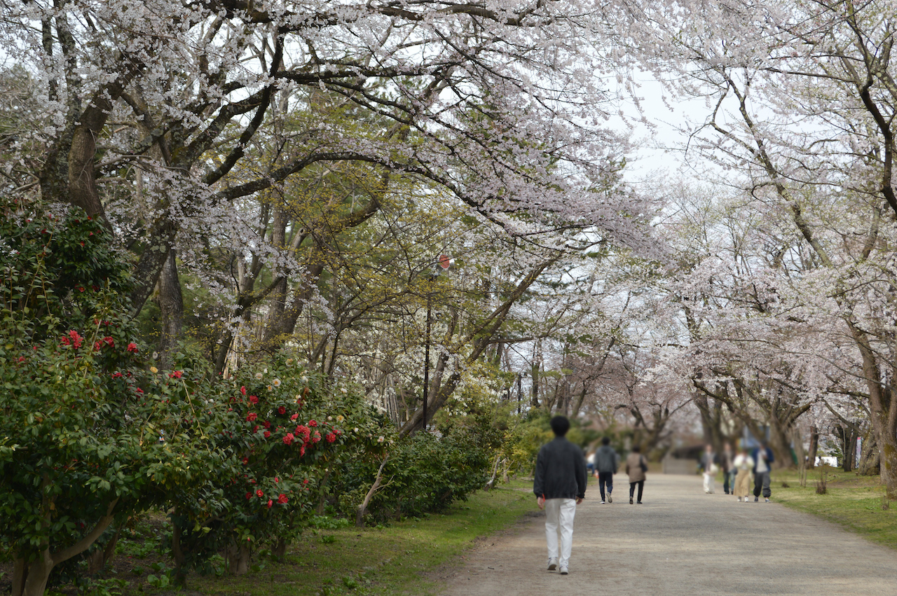 弘前さくらまつり2026