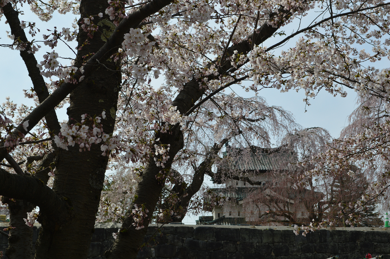 弘前さくらまつり2026