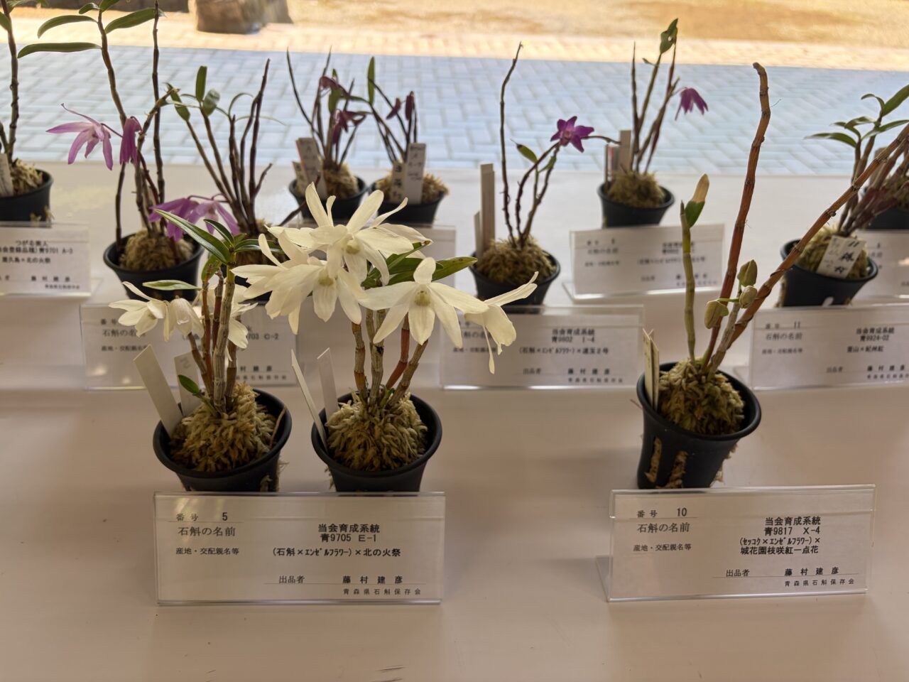 植物園