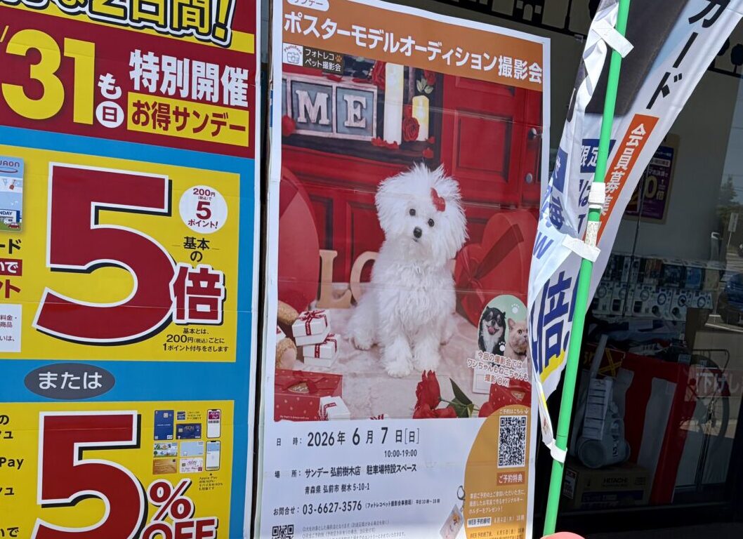 サンデー