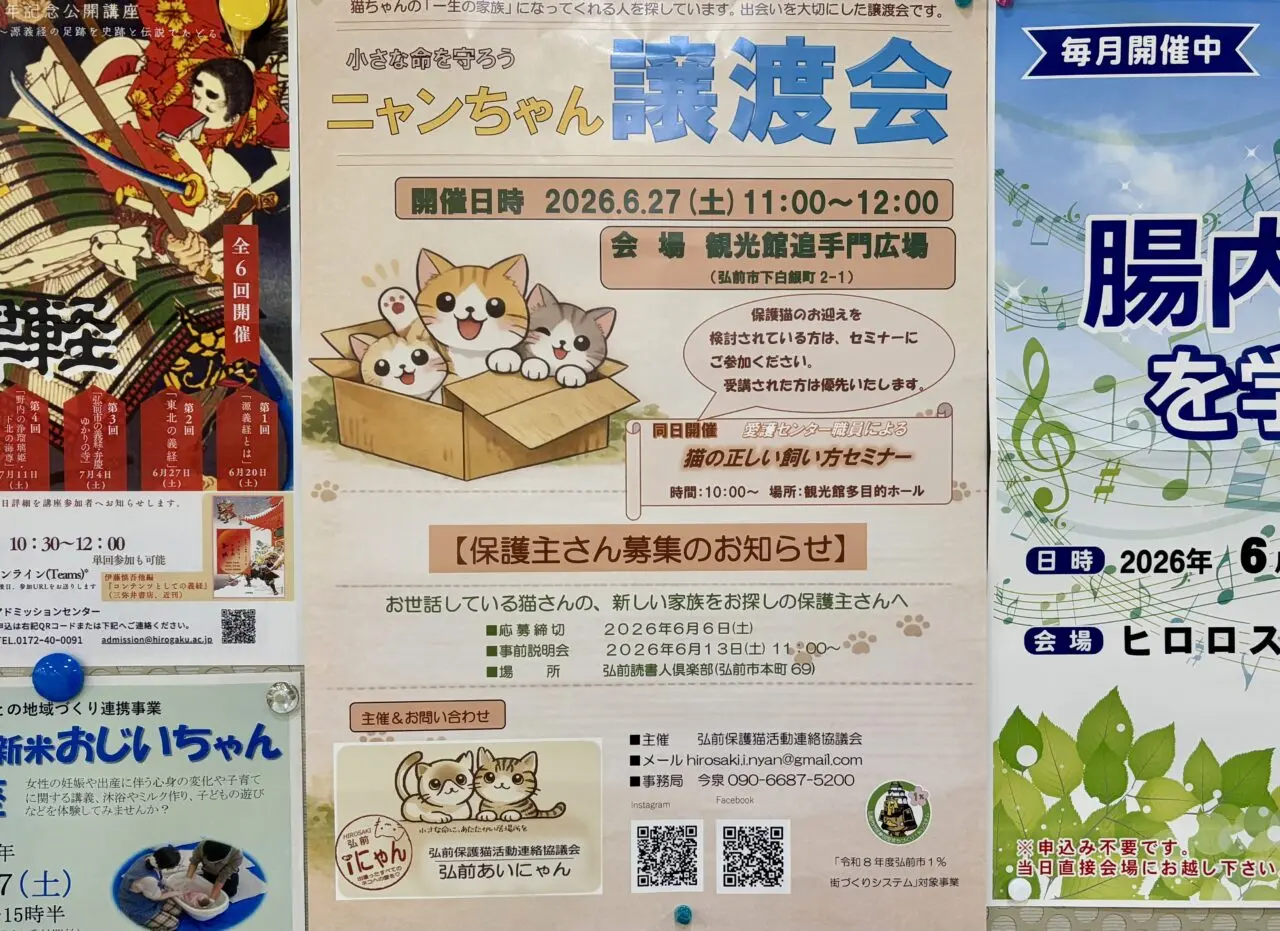 ネコちゃん譲渡会