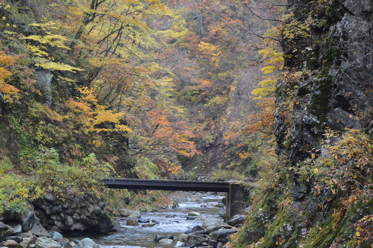 白神山地