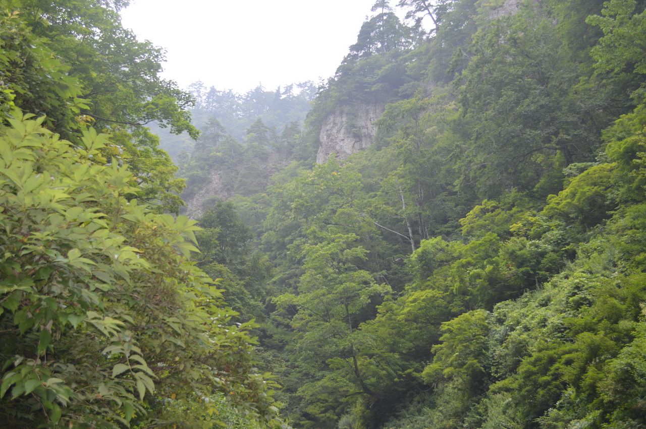 白神山地