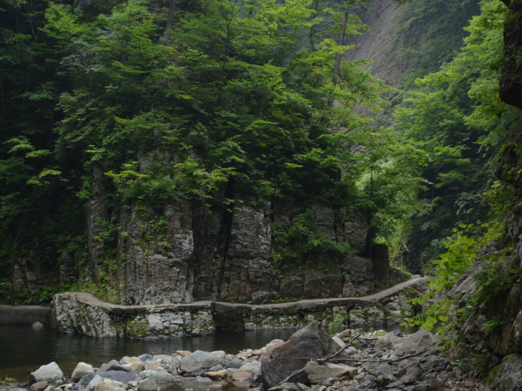 白神山地