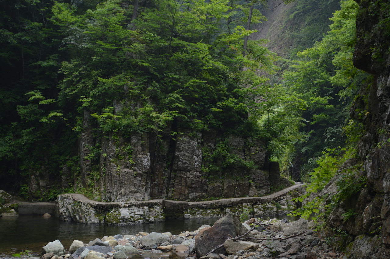 白神山地