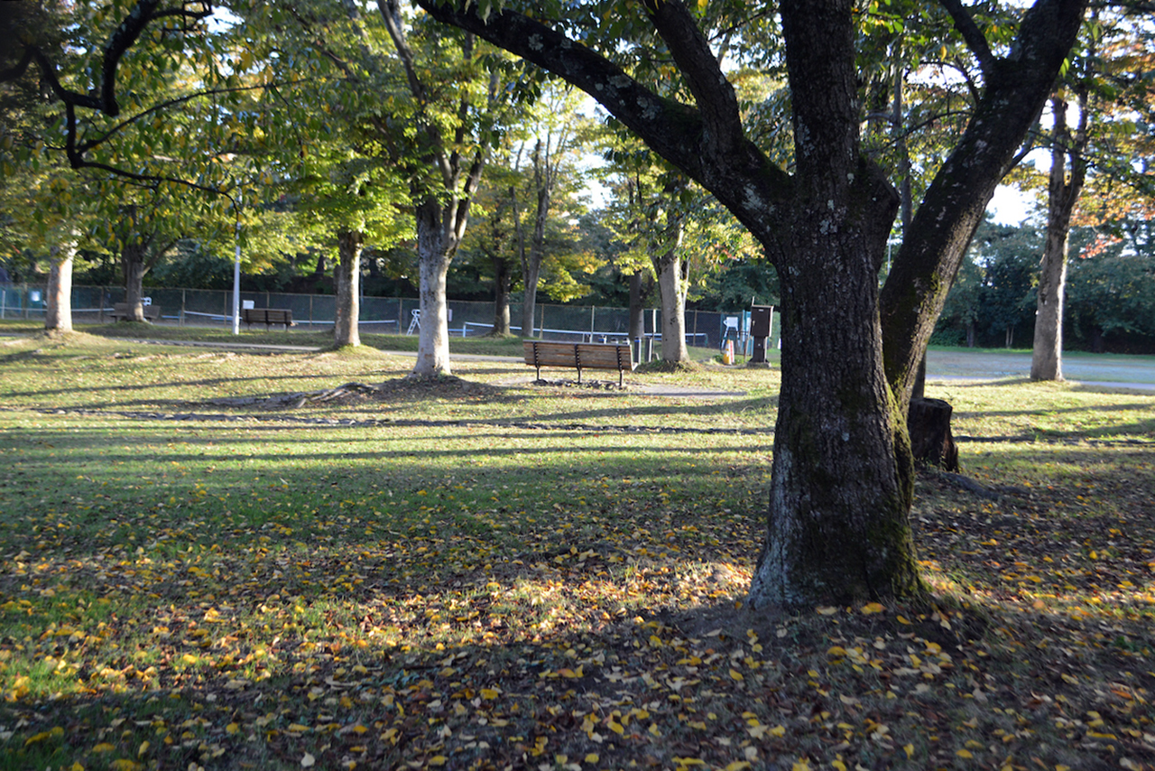 弘前城菊と紅葉まつり