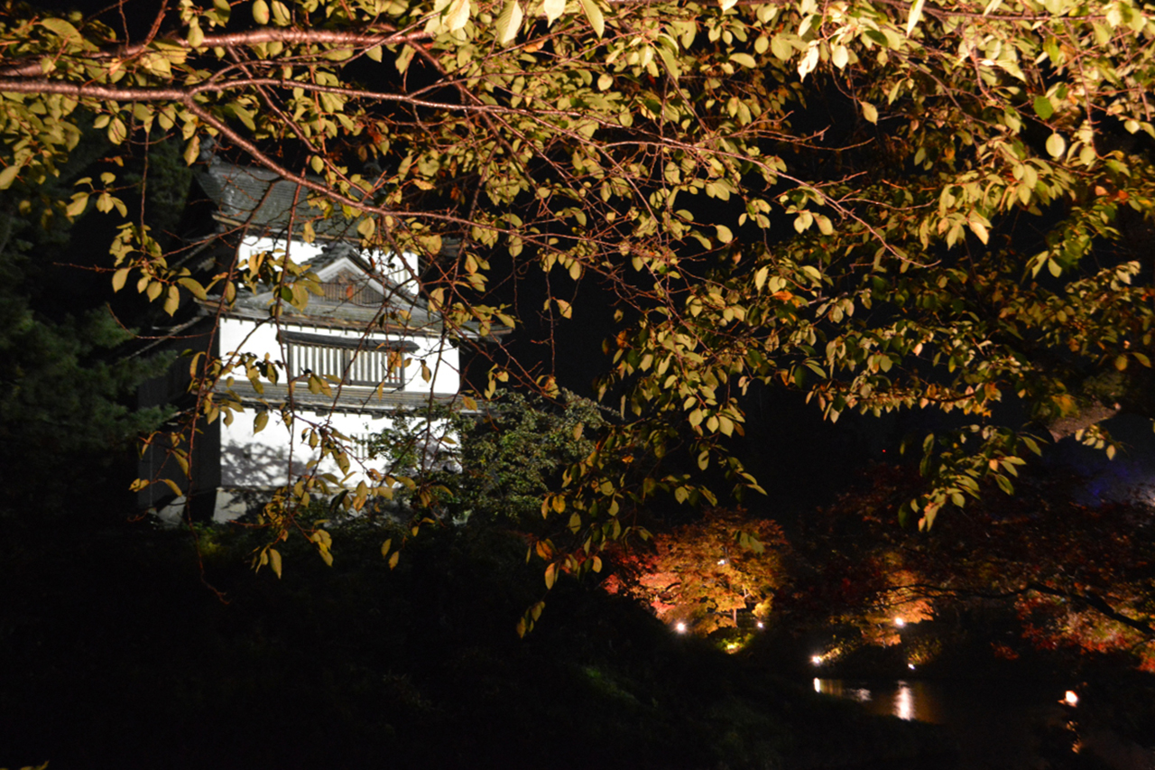紅葉まつり